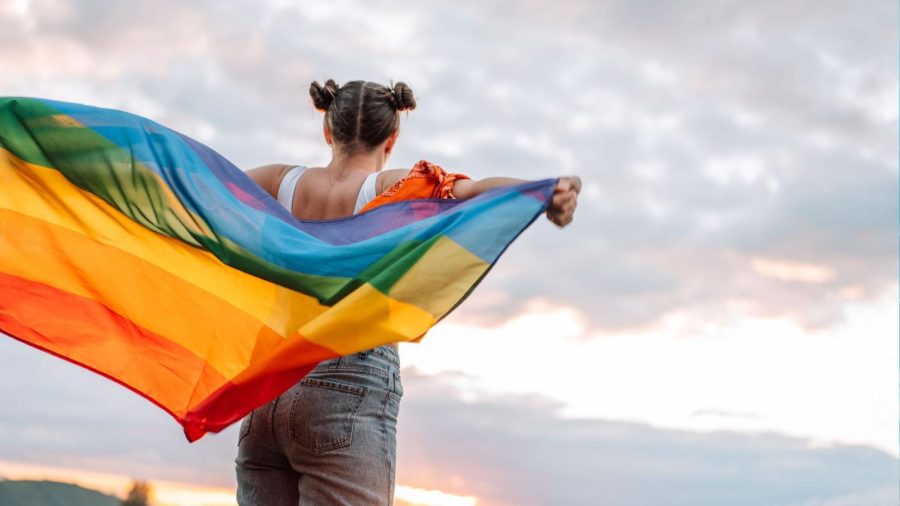 Rainbow Torah, pickleball pride and nosh: Jewish St. Louis celebrates Pride Month